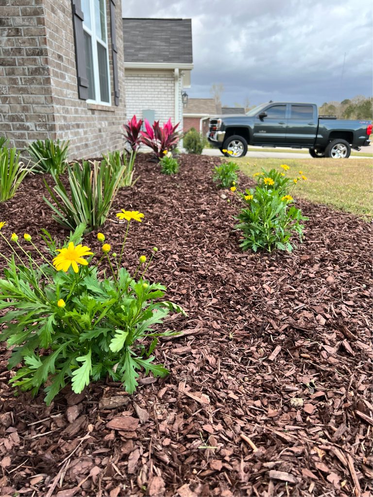 New plants and mulch installed
