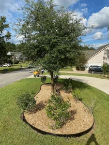 elite lawn management landscaping 14