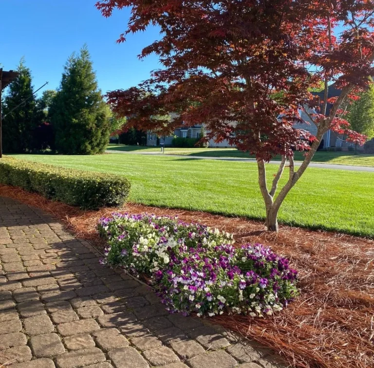 elite lawn management landscaping 6